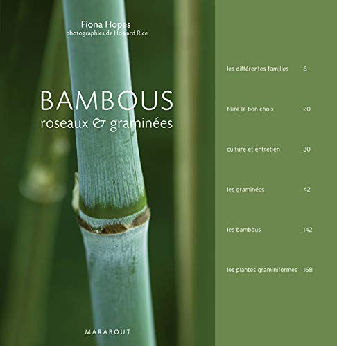 Bambous, roseaux et graminées