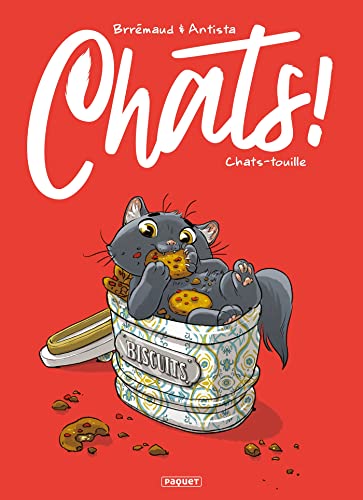 Chats-touille
